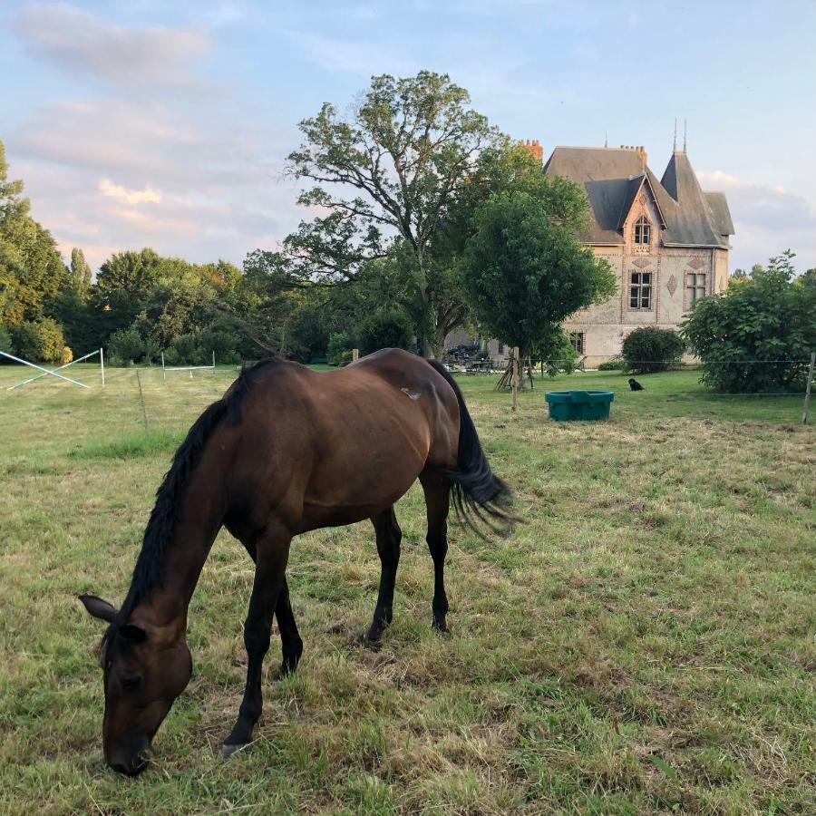 Manoir De La Chouanniere Villa Montreuil-sur-Maine Eksteriør billede